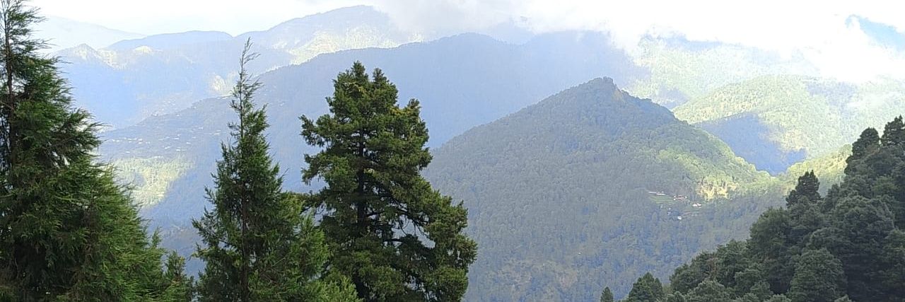 Vibha Singh banner