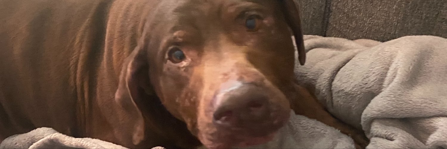 SarahRMiles's profile banner image