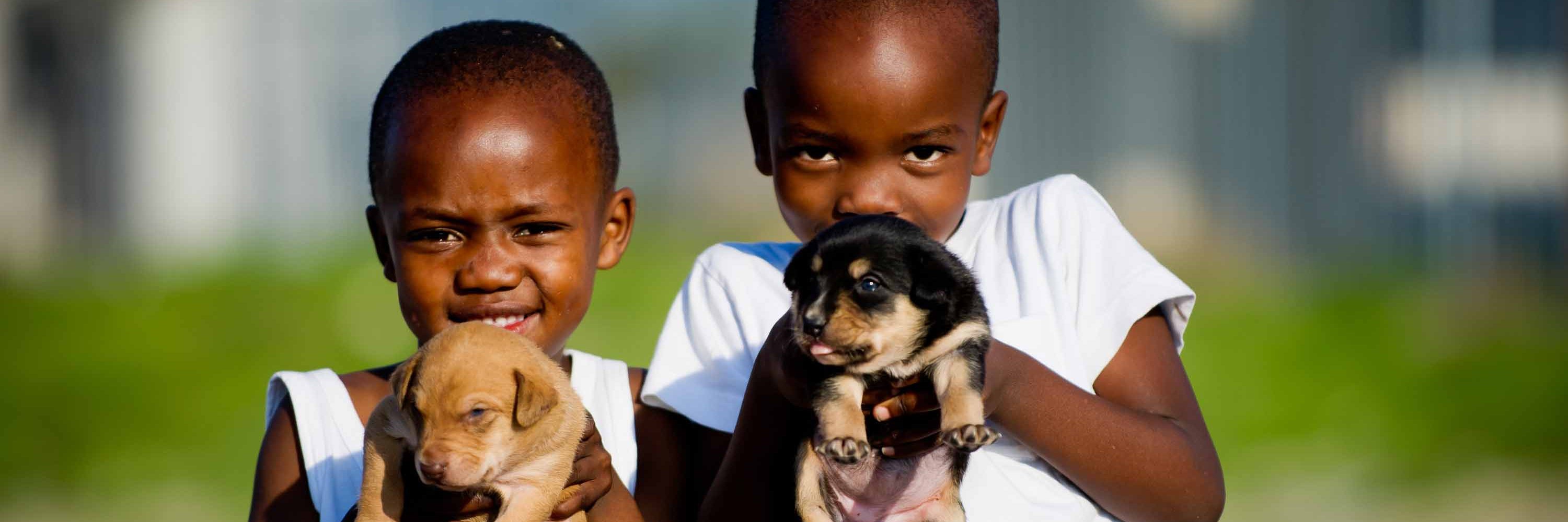 MdzanandaAnimalClini banner