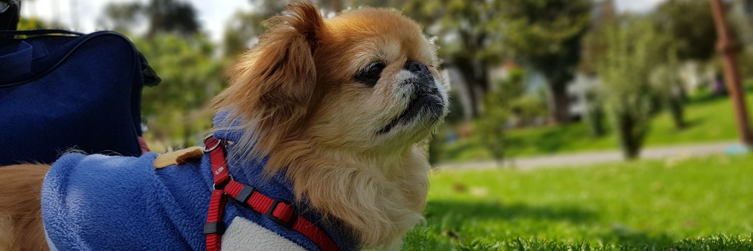 henrybjm's profile banner image