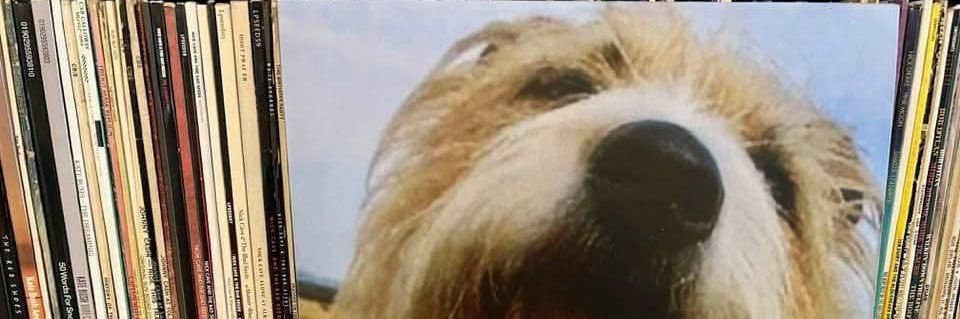 Songdog (& Lyndon Morgans) banner