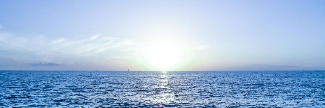 sevil sen sevil banner