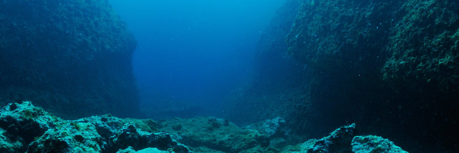 tripod fish of shedtwt || (3/10lbs) banner