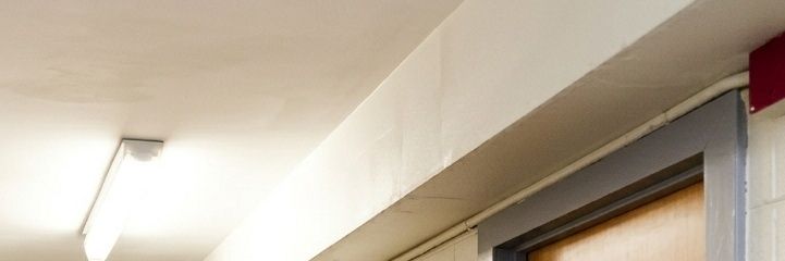 ℕ𝕚𝕔𝕙𝕒-𝔸𝕝𝕚𝕔𝕖 banner