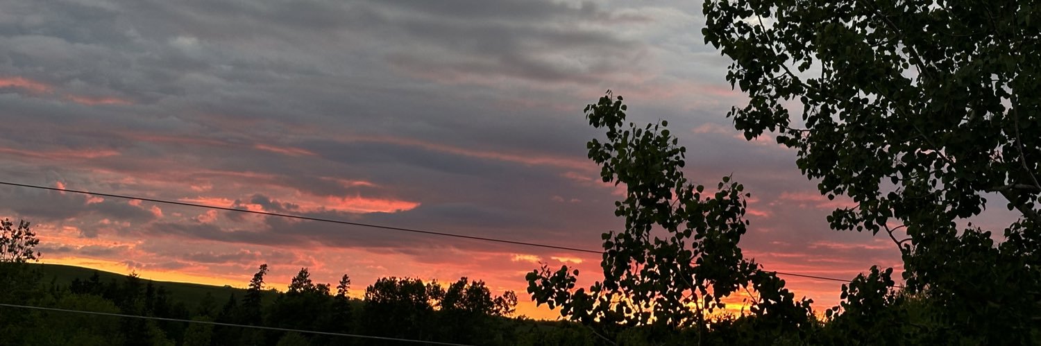 skyeann04's profile banner image