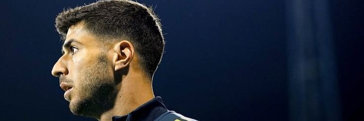tedesco düşmanı banner