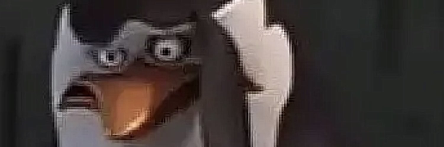 Lee banner