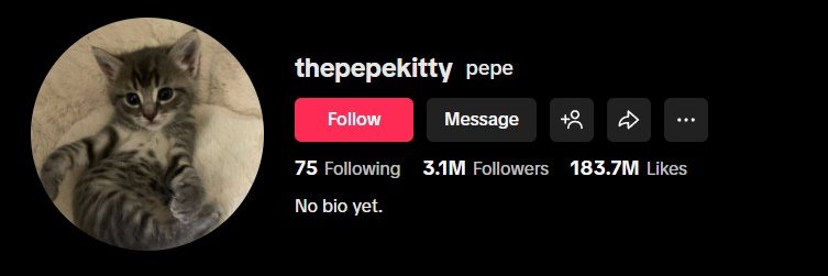 The Pepe Kitty banner