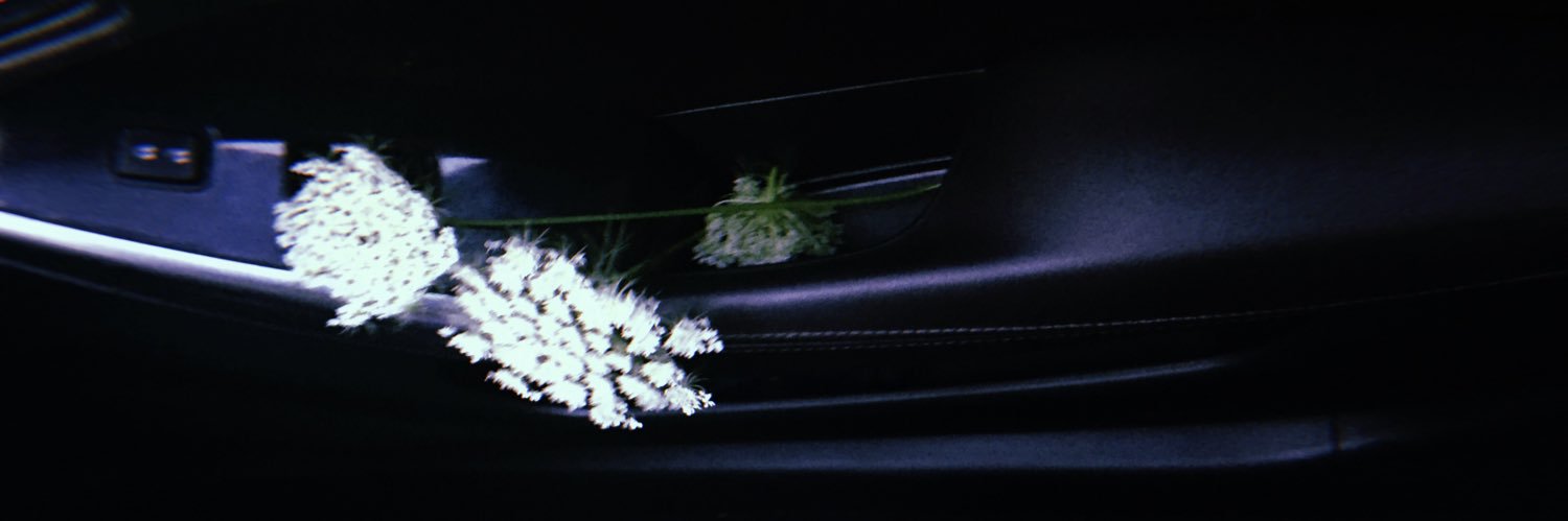 Kash_miree's profile banner image