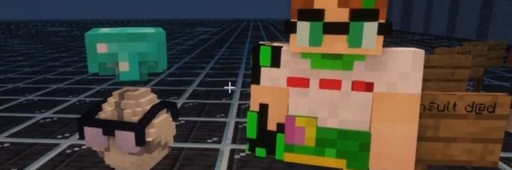 CayD banner