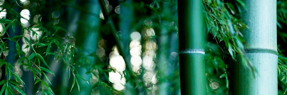 Daxniel Vásquez banner