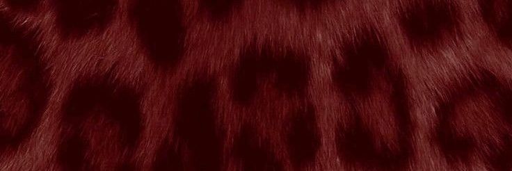 jero banner