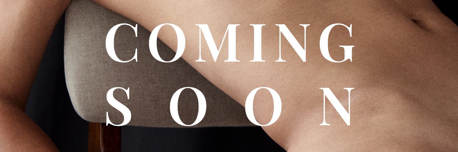 thecheekystudio banner