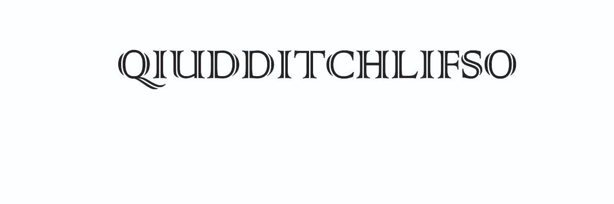 QudditchLIFSO banner