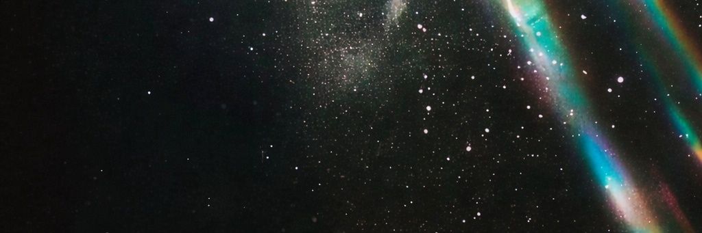 Darcy Bee banner