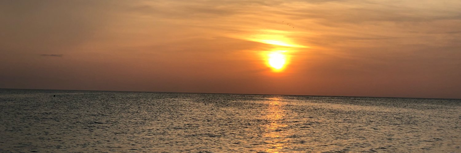paoalMD's profile banner image