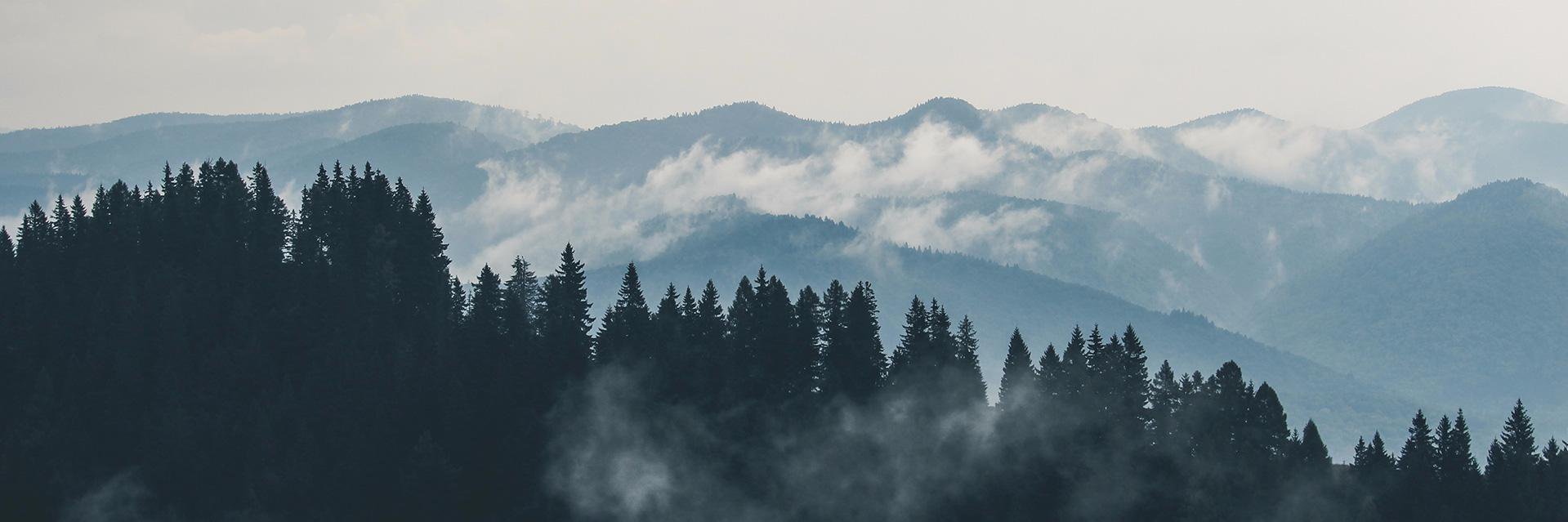 Robin Stickel banner