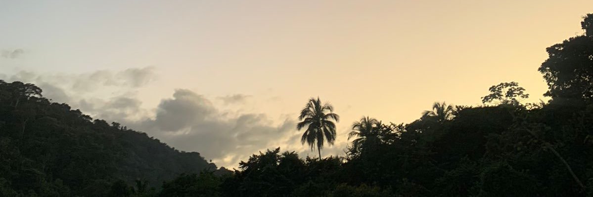 camiangulo97's profile banner image