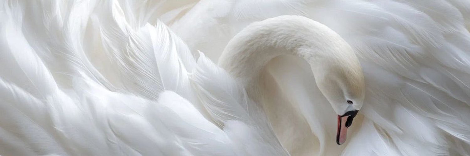 _s701_'s profile banner image
