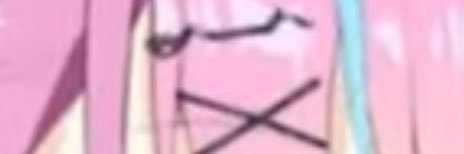 P⚓️🎀🐾 banner