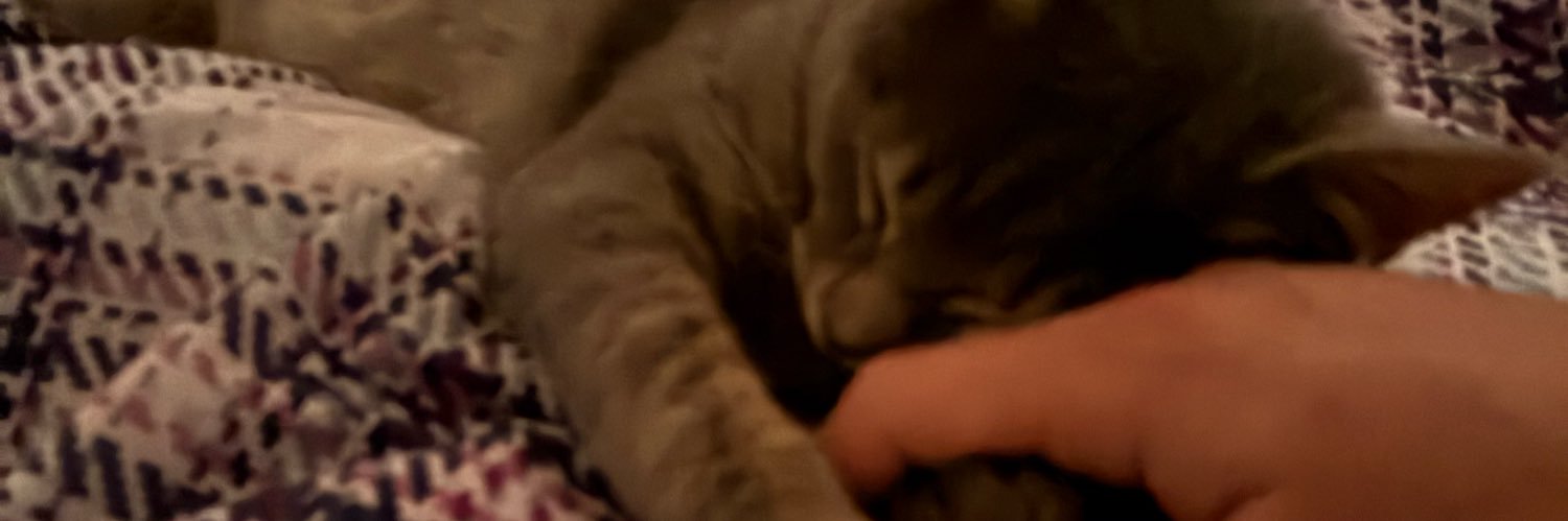 Haydar Davarcı banner