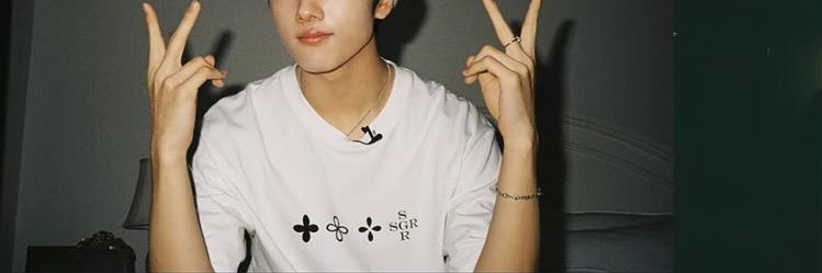 Zi banner
