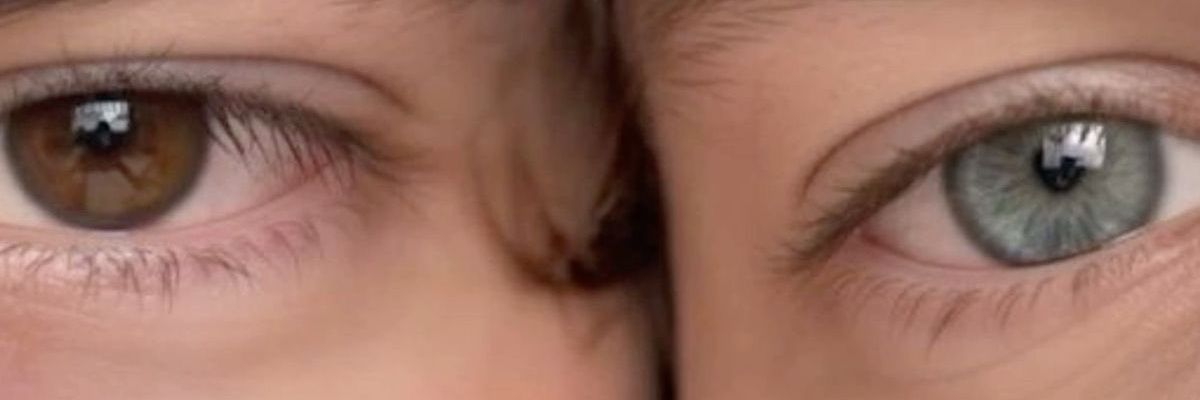 femmerozander's profile banner image