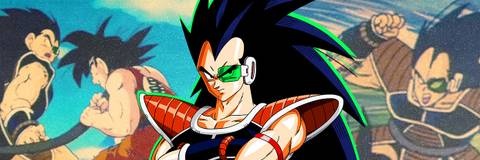 Raditz banner