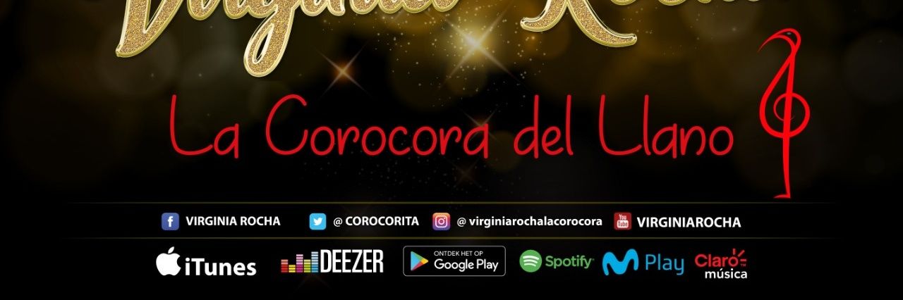 VIRGINIA ROCHA banner