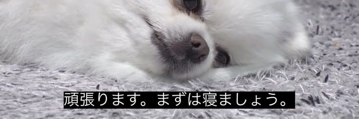 みだた banner