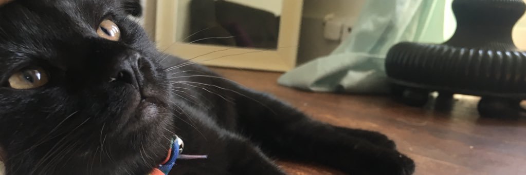 missmidgee's profile banner image