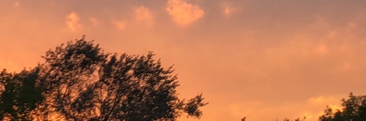 Lizzieeward's profile banner image