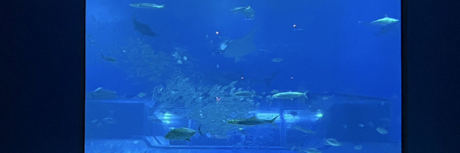 🇯🇵Yuriがんばる限界OL❤️ banner