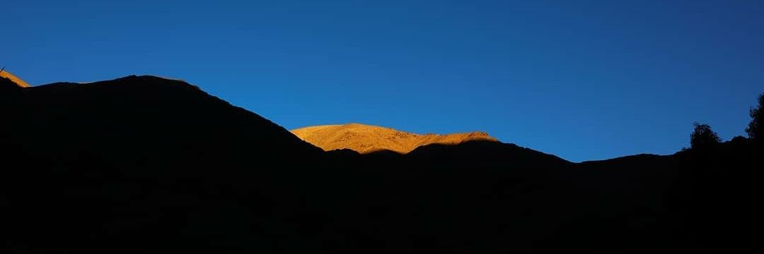 Camilo_Paus's profile banner image