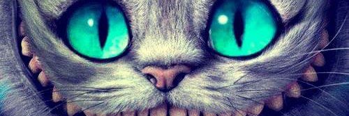 celeste_barrera's profile banner image