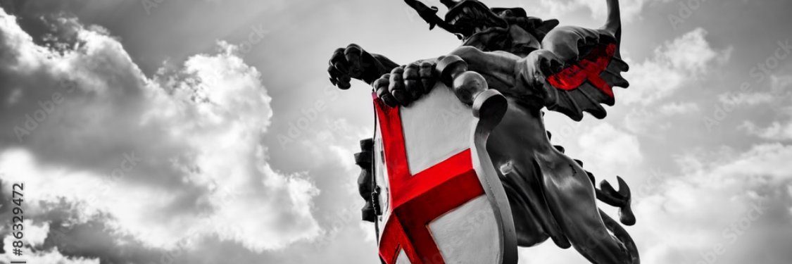 Mike Shez banner