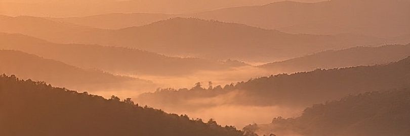 mod59982's profile banner image
