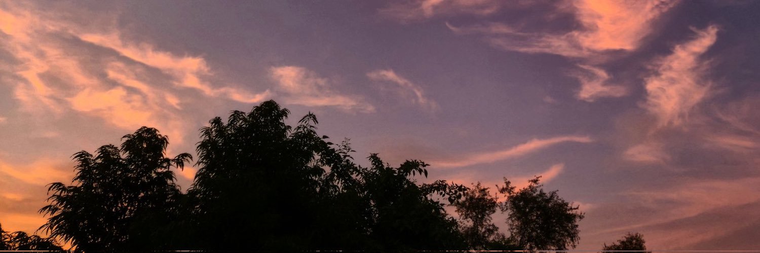 Mildreeed_'s profile banner image