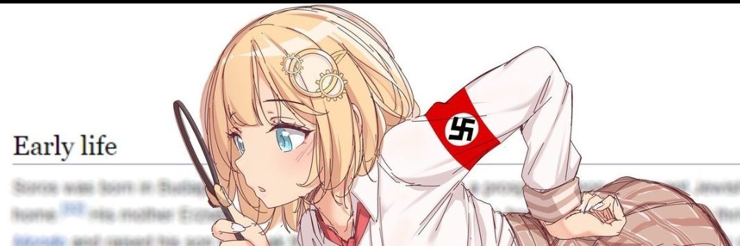 Where'd Your Boulder Go Groyper banner