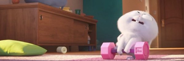 DusekLadis's profile banner image