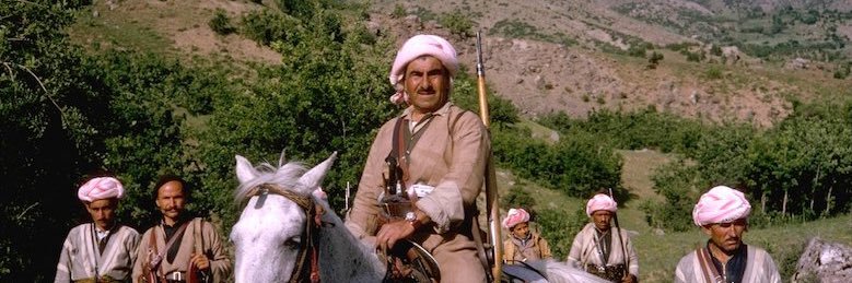 Kurdish Hawk banner