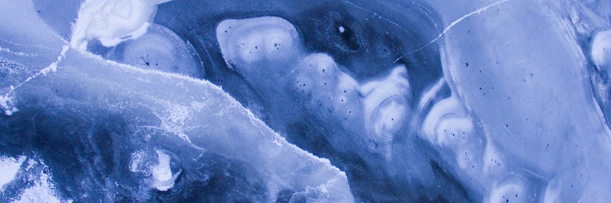 LilyCharnock's profile banner image