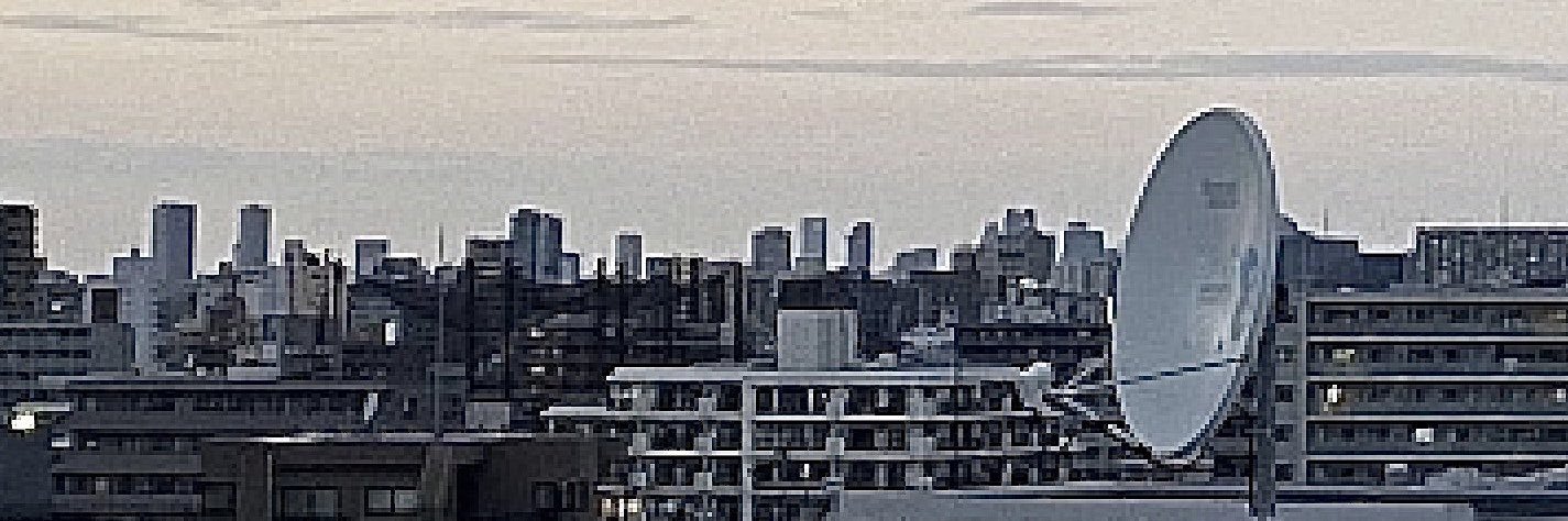 幼稚おばさん banner