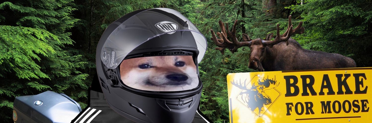 r1100rt.fellas.social 🇨🇦🇺🇦🇵🇱#NAFO banner