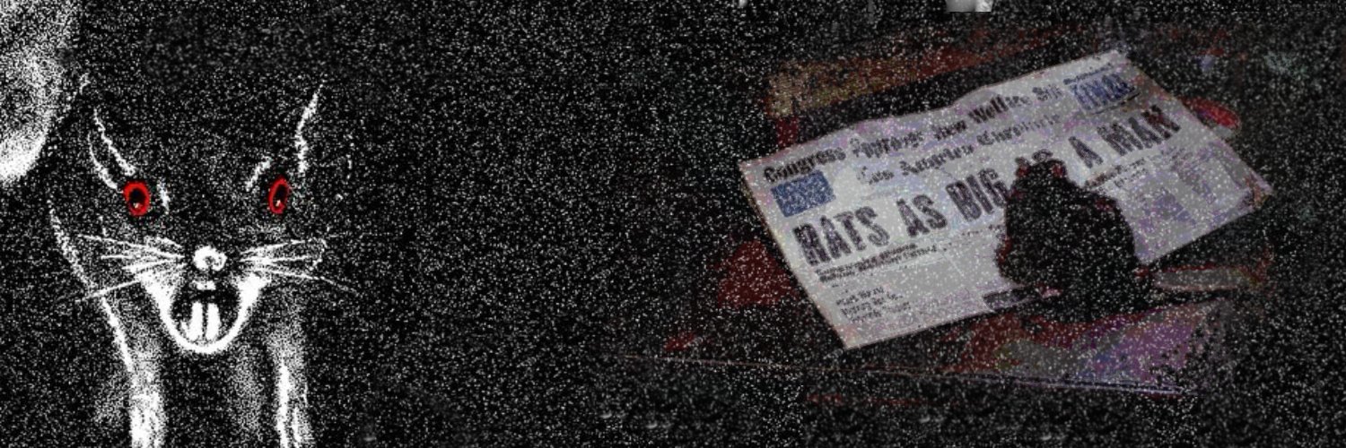 𝒲illard banner