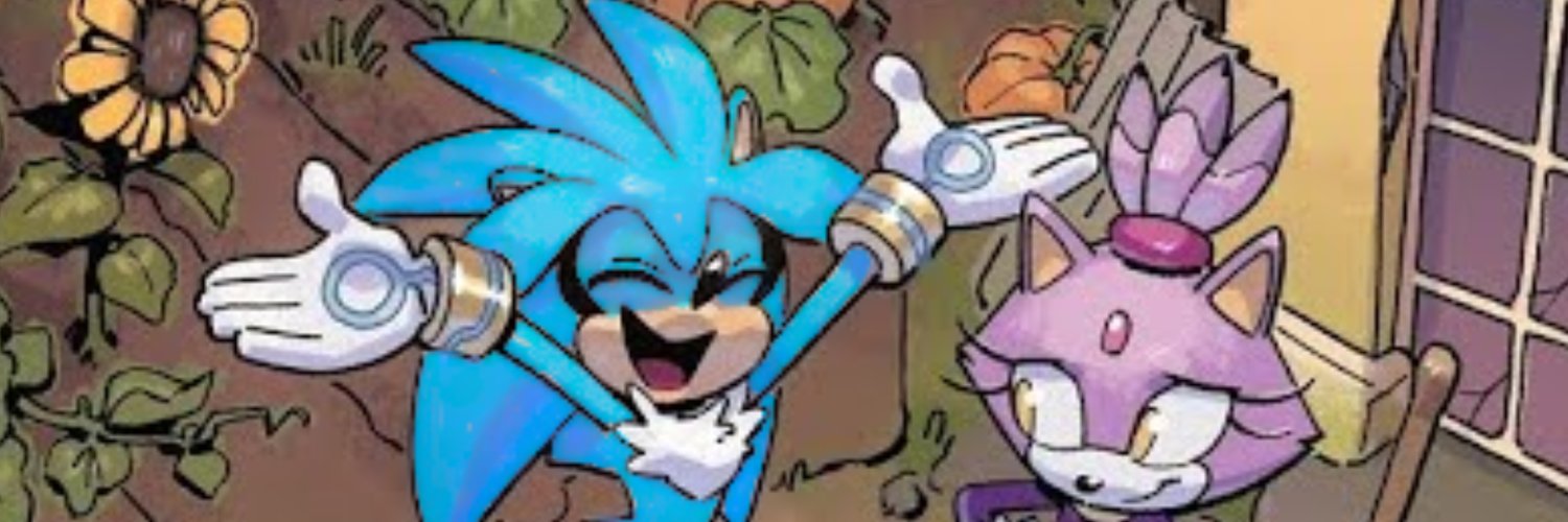 Blilver The Hedgehog banner