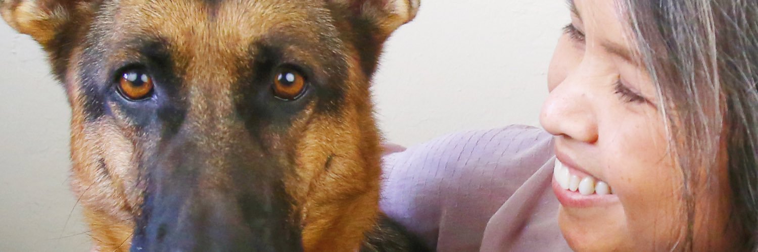 catphungu's profile banner image
