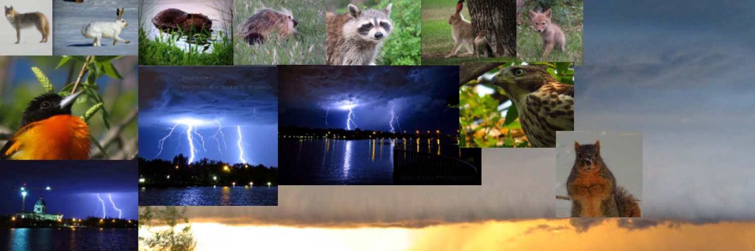 Jared Mysko banner