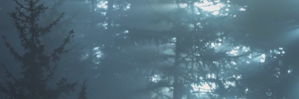 J banner