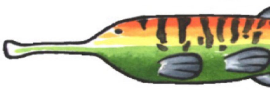 missludge's profile banner image
